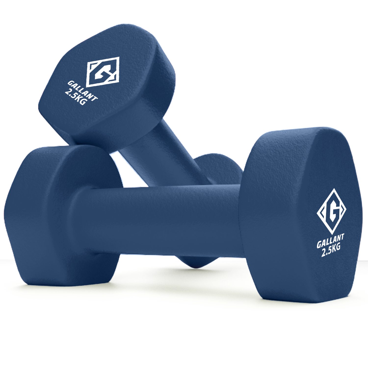 Gallant HEX Neoprene Dumbbells Hand Weights Pair Gallant 2.5 Main IMG.